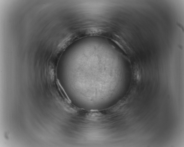 X0000099510716200805151459