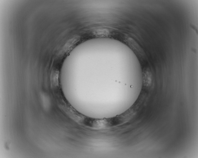 X0000099510717200805151459