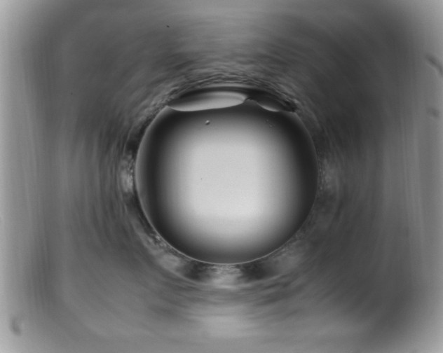 X0000099510719200805151459