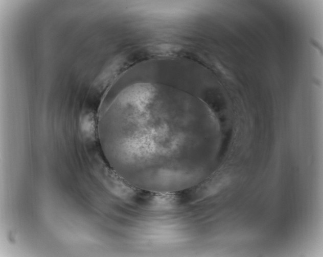 X0000099510720200805151459