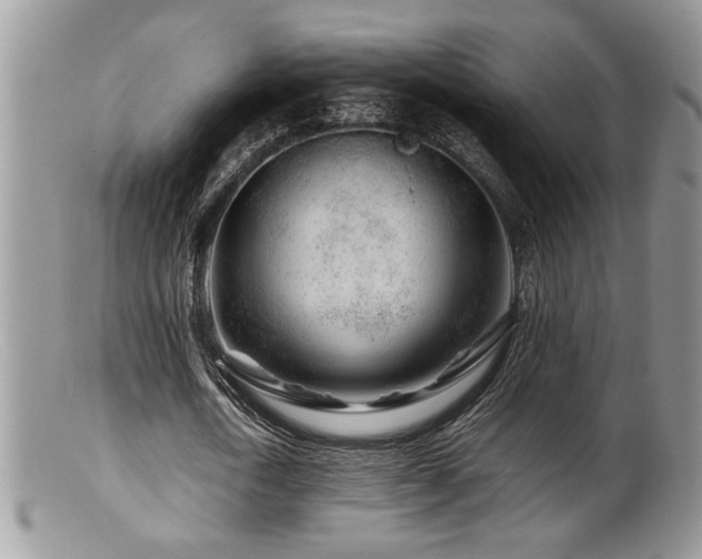 X0000099510722200805151458