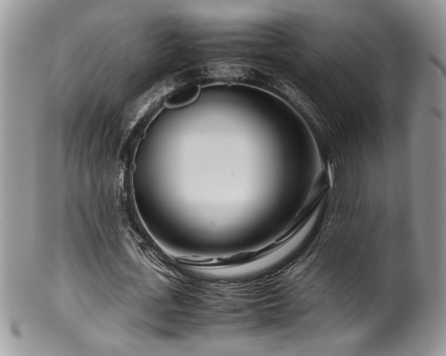 X0000099510723200805151458