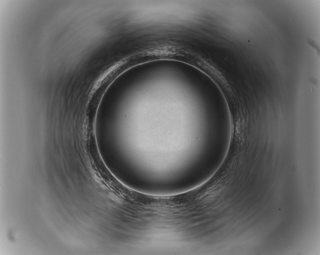 X0000099510724200805151458