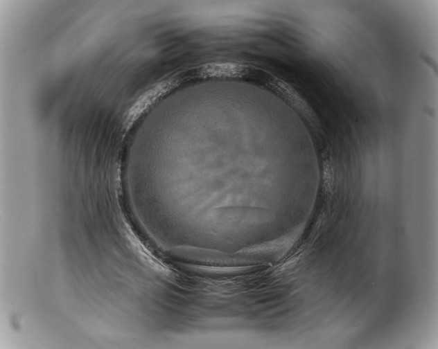 X0000099510725200805151458
