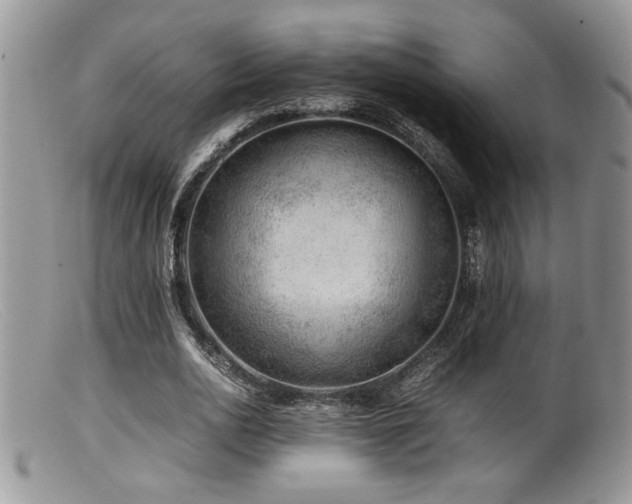 X0000099510726200805151458