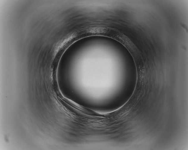X0000099510727200805151458