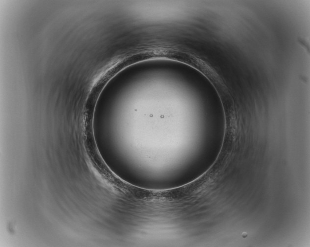 X0000099510730200805151458