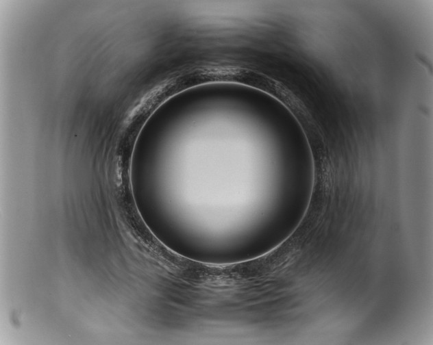 X0000099510731200805151458