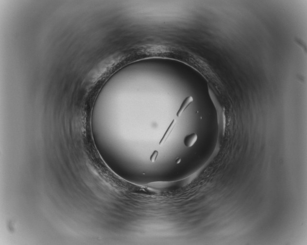 X0000099510732200805151458