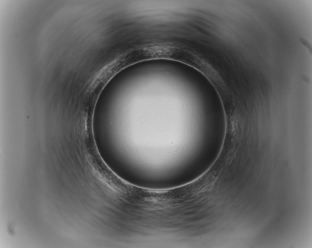 X0000099510733200805151458