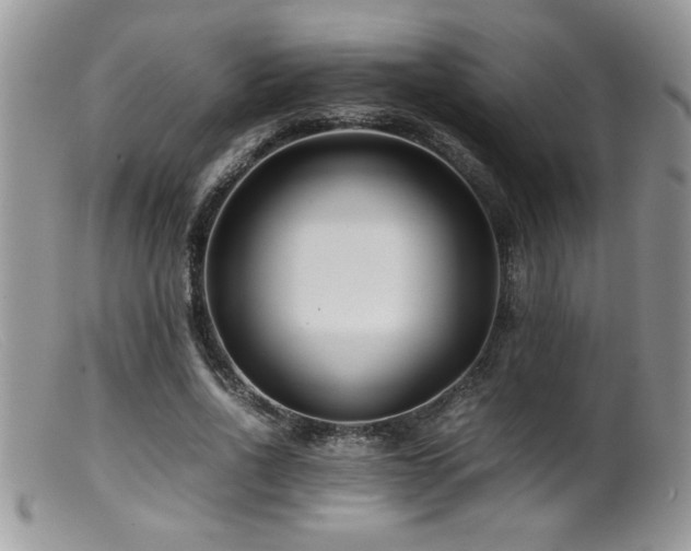 X0000099510734200805151458