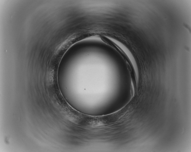 X0000099510735200805151458