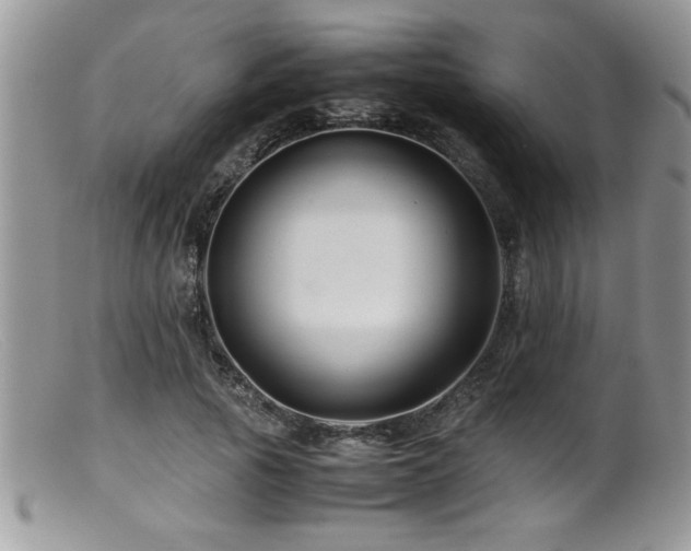 X0000099510737200805151458