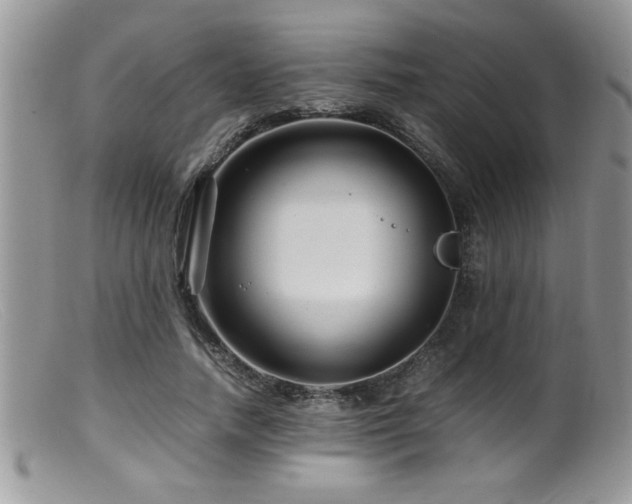 X0000099510738200805151458