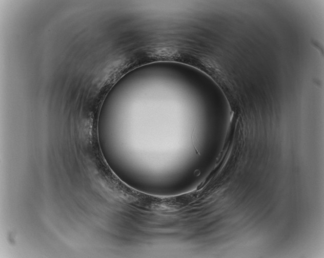 X0000099510739200805151458