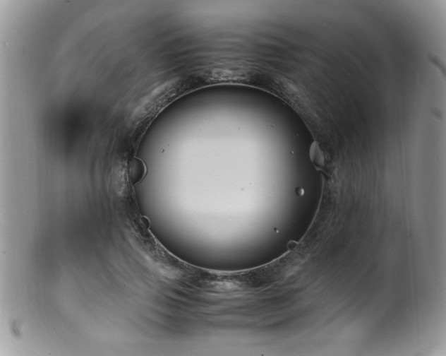 X0000099510741200805151458