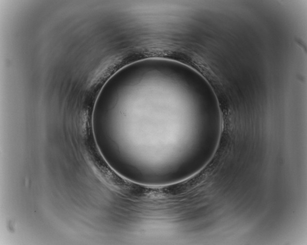 X0000099510742200805151458