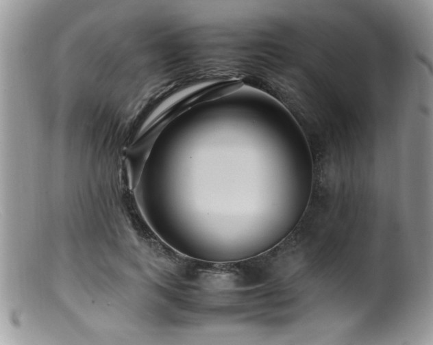 X0000099510743200805151459