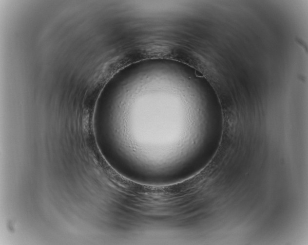 X0000099510745200805151459