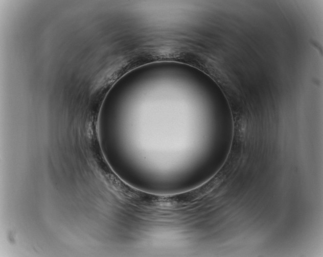 X0000099510746200805151459