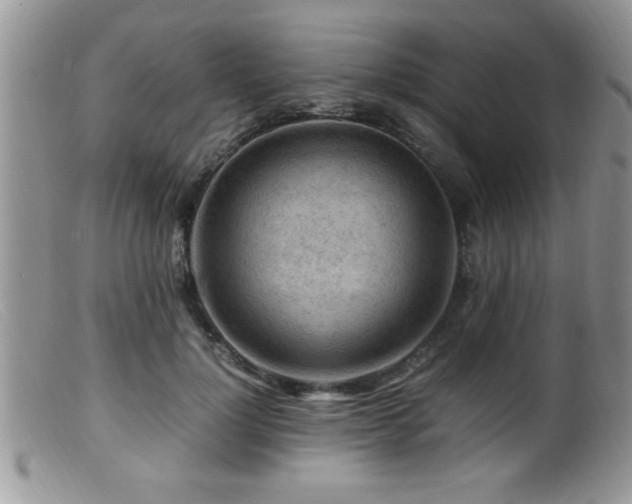 X0000099510748200805151459