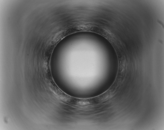 X0000099510749200805151459
