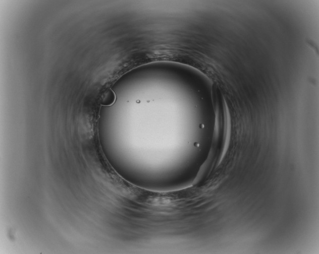 X0000099510751200805151459