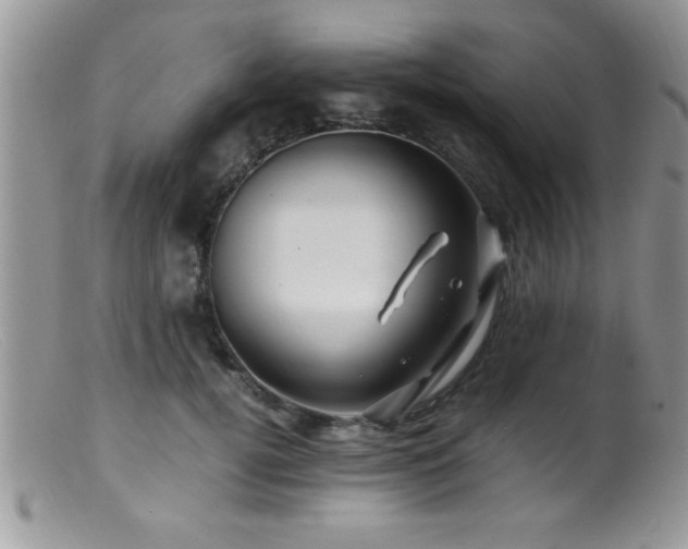 X0000099510752200805151459