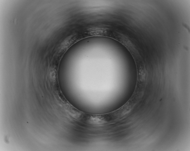 X0000099510753200805151459