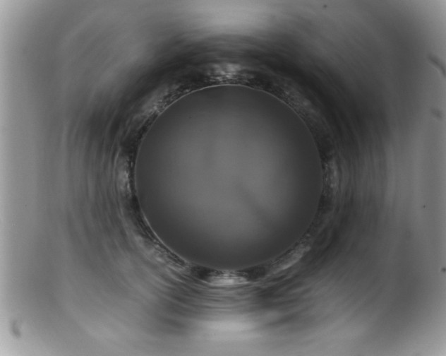 X0000099510754200805151459