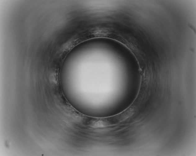 X0000099510755200805151459