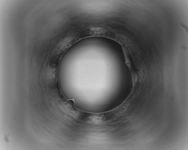 X0000099510756200805151459