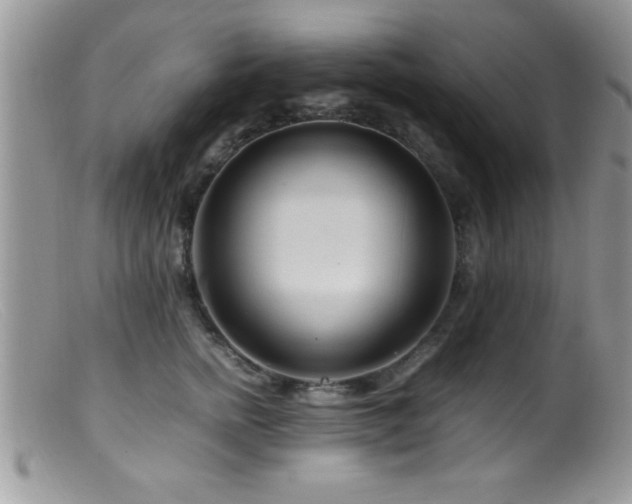 X0000099510758200805151459