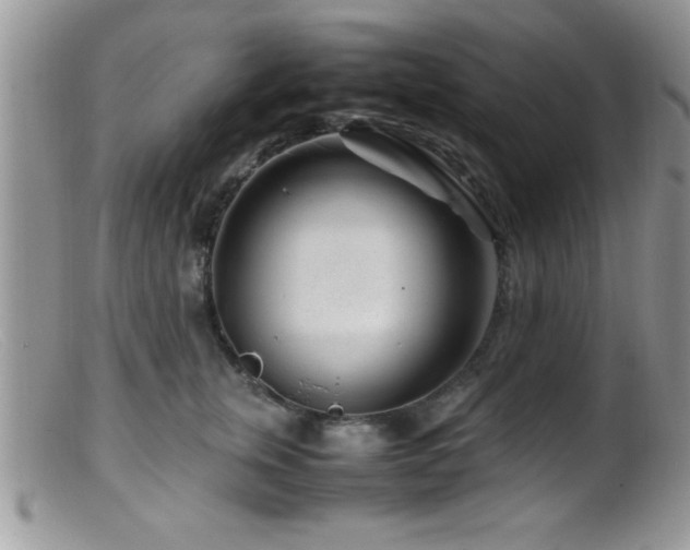 X0000099510759200805151459