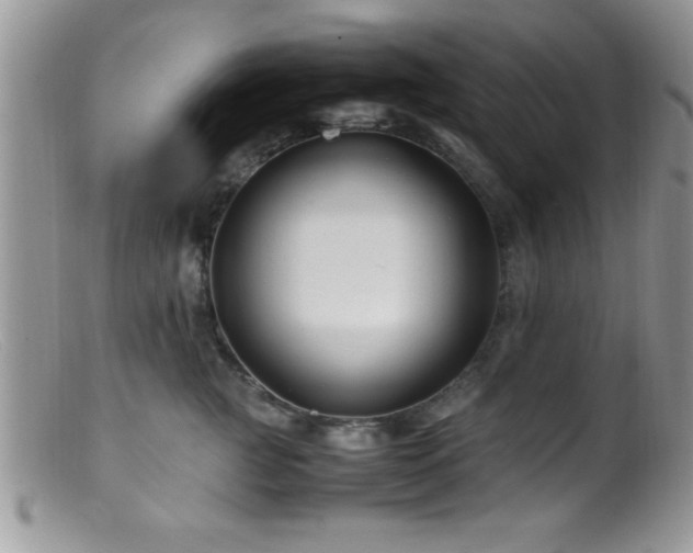 X0000099510761200805151459