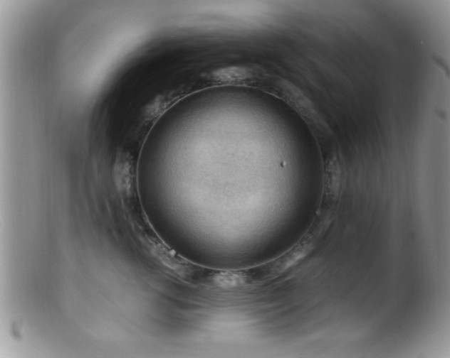 X0000099510762200805151459