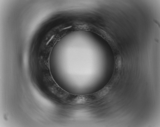 X0000099510764200805151459