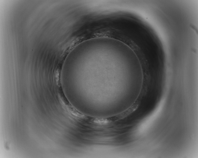 X0000099510767200805151459
