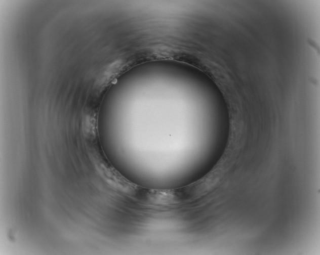 X0000099510768200805151459