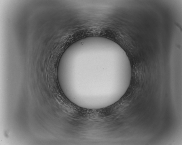 X0000099510769200805151458