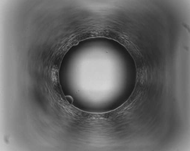 X0000099510770200805151458