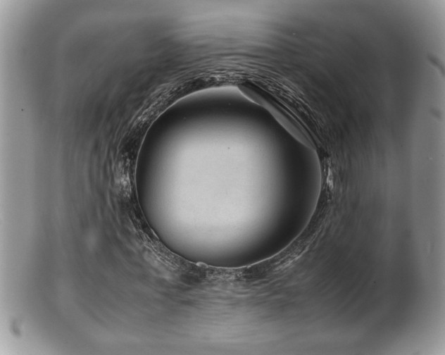 X0000099510771200805151458