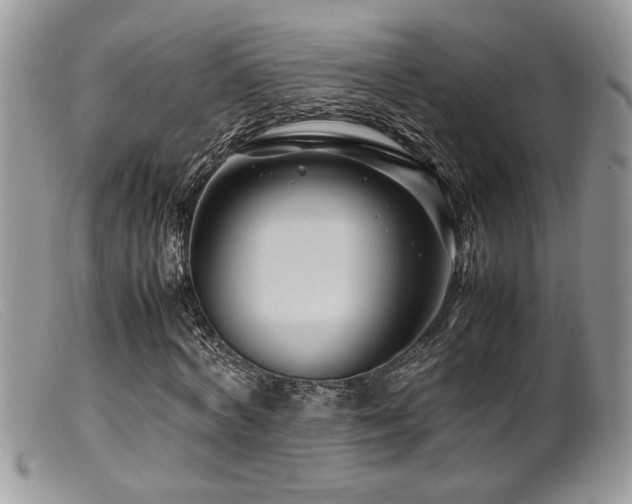 X0000099510772200805151458