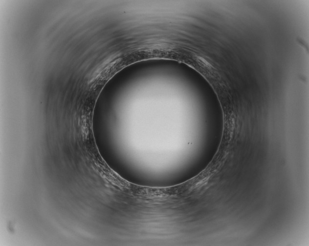 X0000099510774200805151458