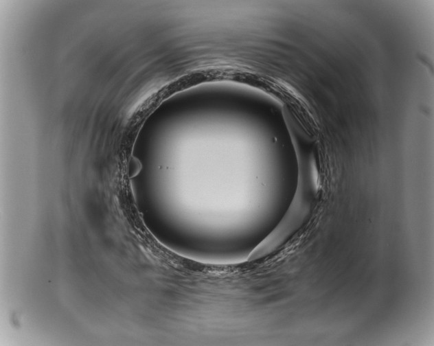 X0000099510775200805151458