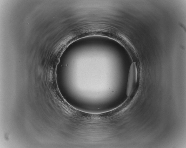 X0000099510777200805151458