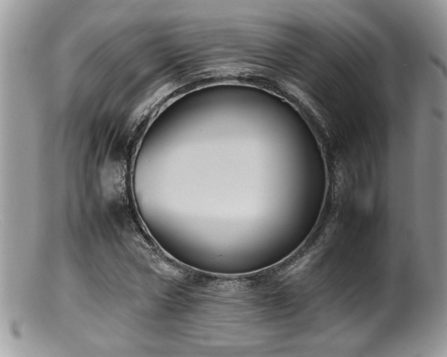 X0000099510778200805151458