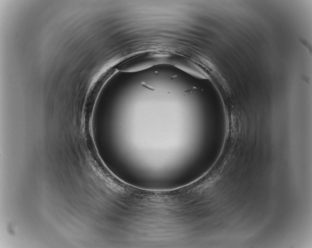X0000099510780200805151458