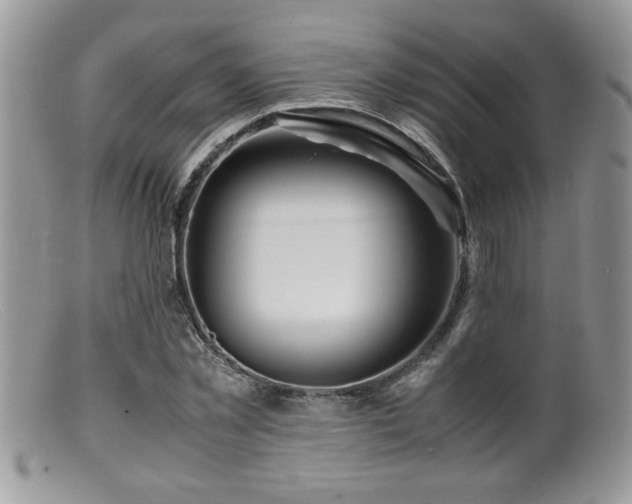 X0000099510781200805151458