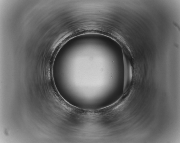 X0000099510782200805151458